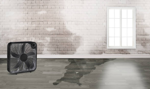 Best Commercial Water Damage Restoration in Bloomfield, IA