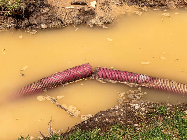 Professional Water damage restoration in Bloomfield, IA